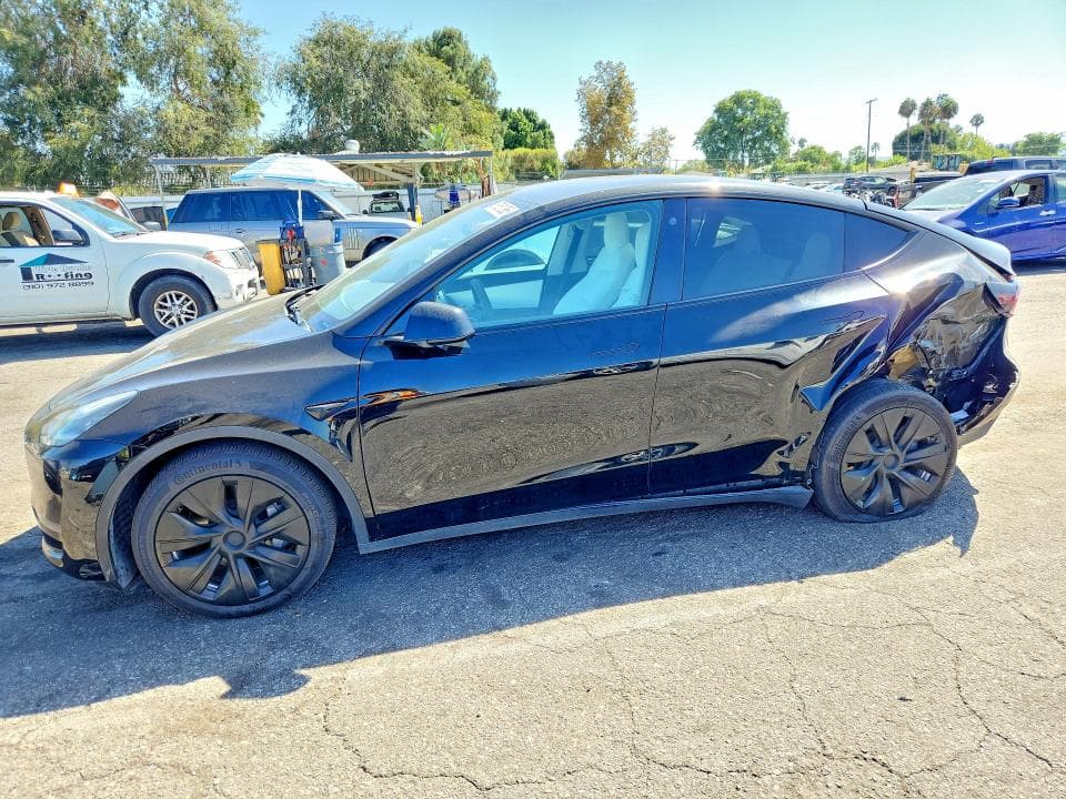 2021 TESLA MODEL Y - 1