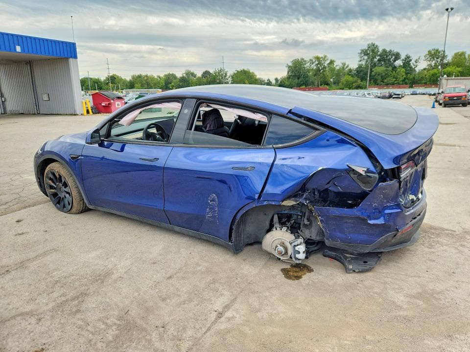 2024 TESLA MODEL Y 2