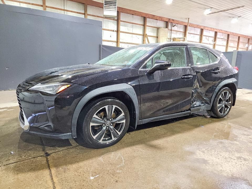 2019 LEXUS UX 250H - 1