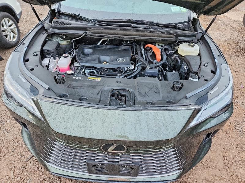 2025 LEXUS RX 350H LUXURY 12