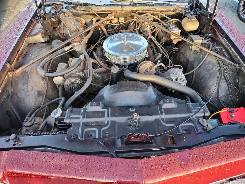 1975 OLDSMOBILE DELTA 88 11