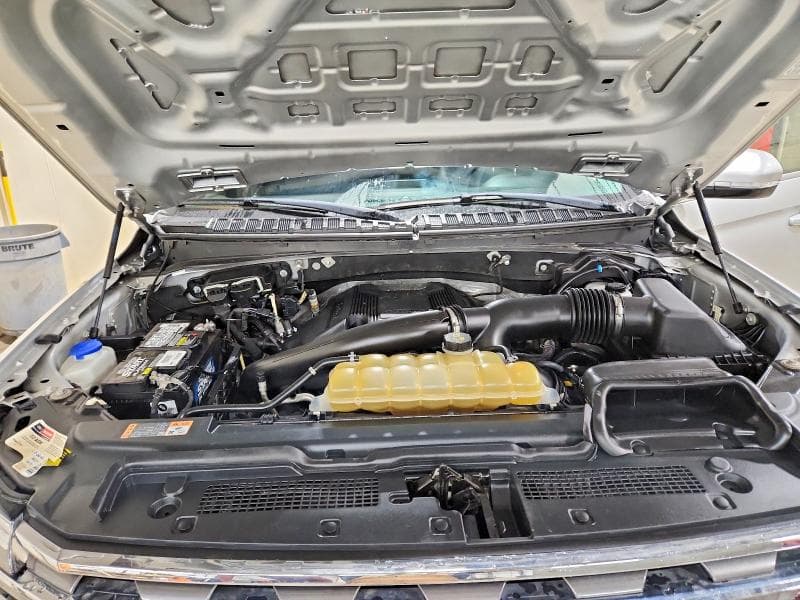 2019 FORD EXPEDITION MAX XLT 12