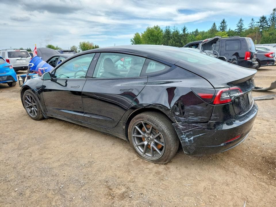 2023 TESLA MODEL 3 2