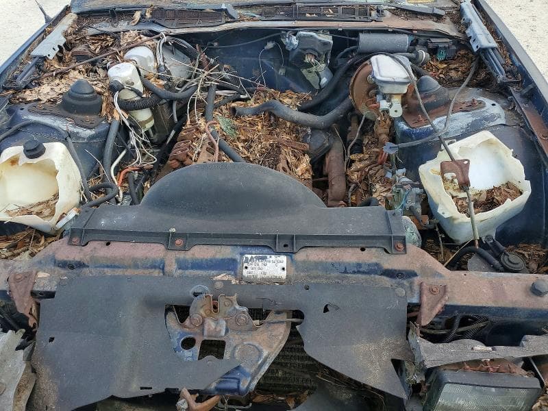 1982 CHEVROLET CAMARO 11