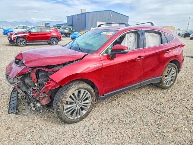 2021 TOYOTA VENZA XLE