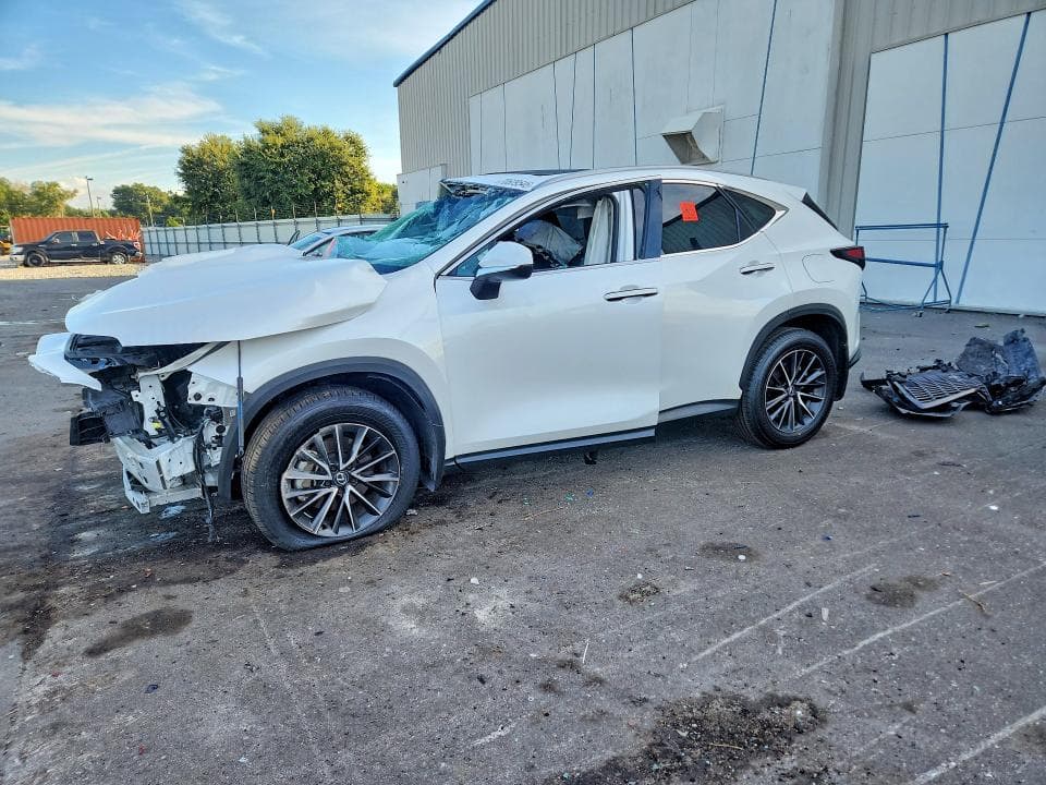2024 LEXUS NX 250 PREMIUM - 1