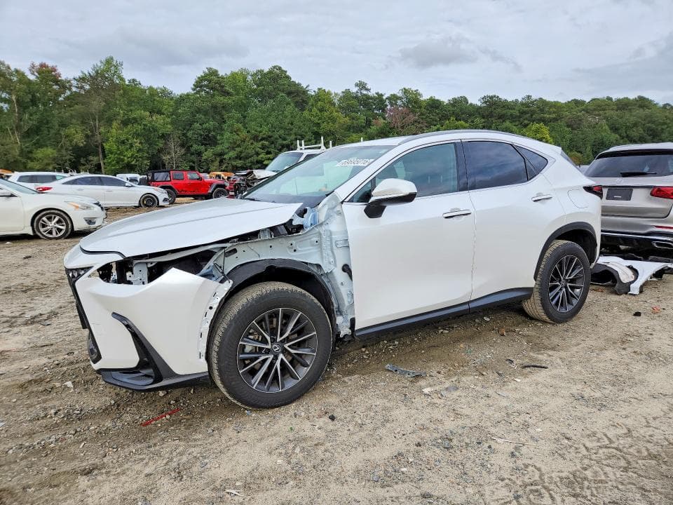 2024 LEXUS NX 350H BASE - 1
