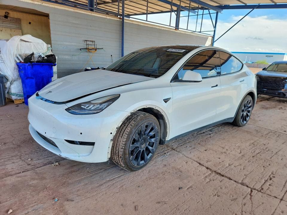 2020 TESLA MODEL Y - 1