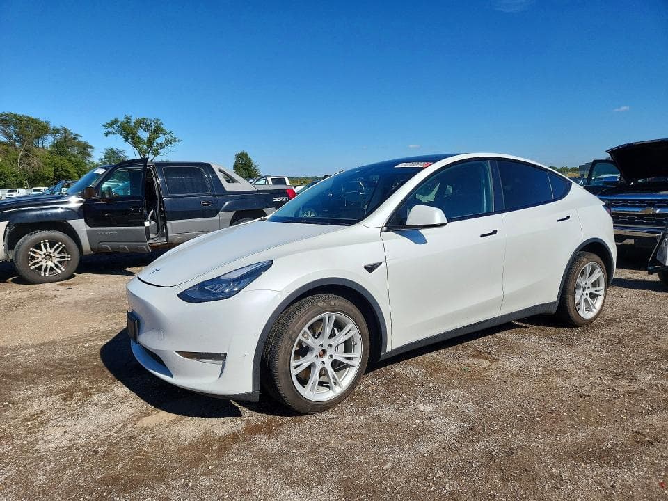 2021 TESLA MODEL Y - 1