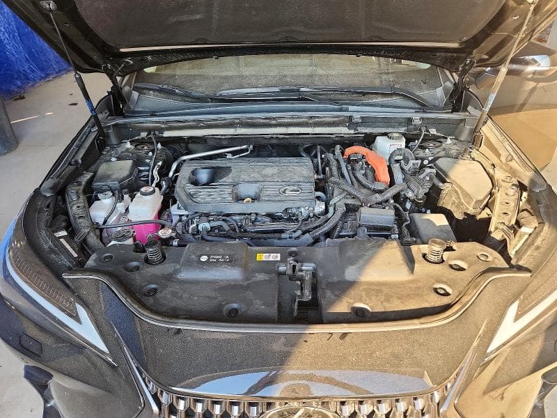 2024 LEXUS NX 350H LUXURY 12