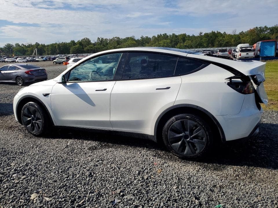 2024 TESLA MODEL Y 2