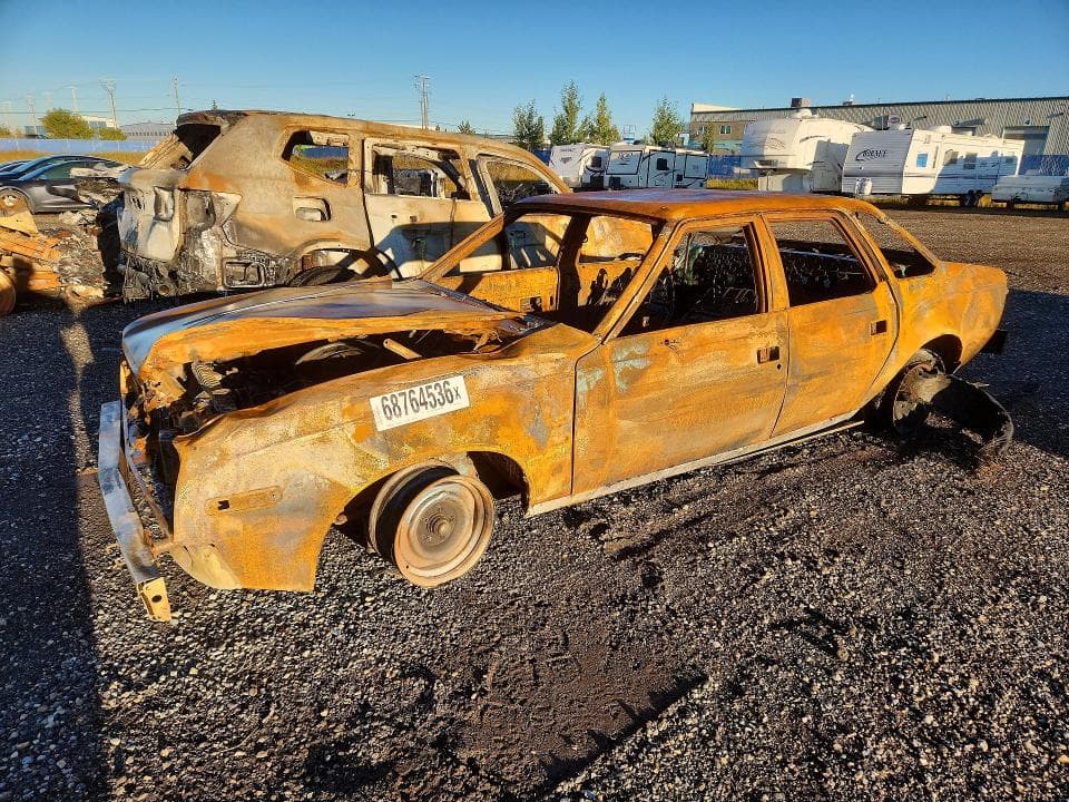 1982 AMERICAN MOTORS CONCORD DL - 1