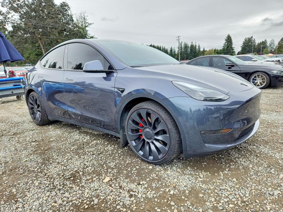 2023 TESLA MODEL  Y 4