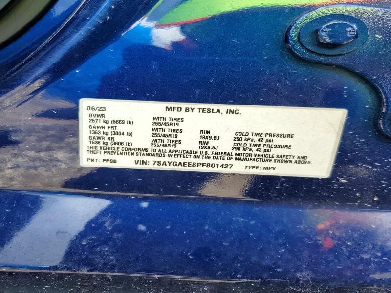 2023 TESLA MODEL Y 13