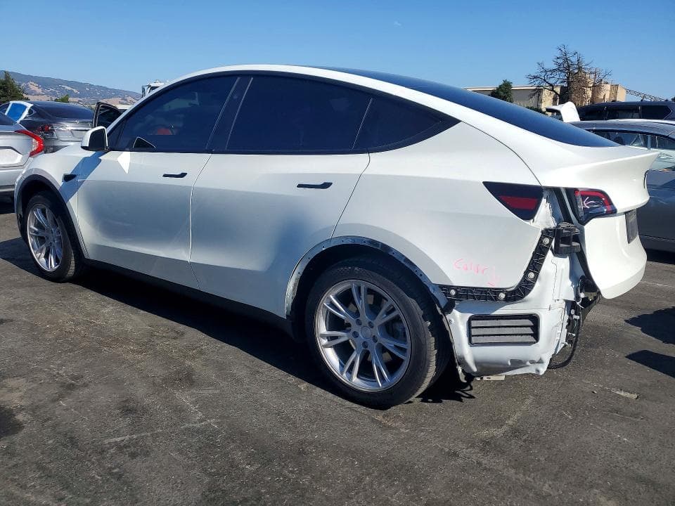 2024 TESLA MODEL Y 2