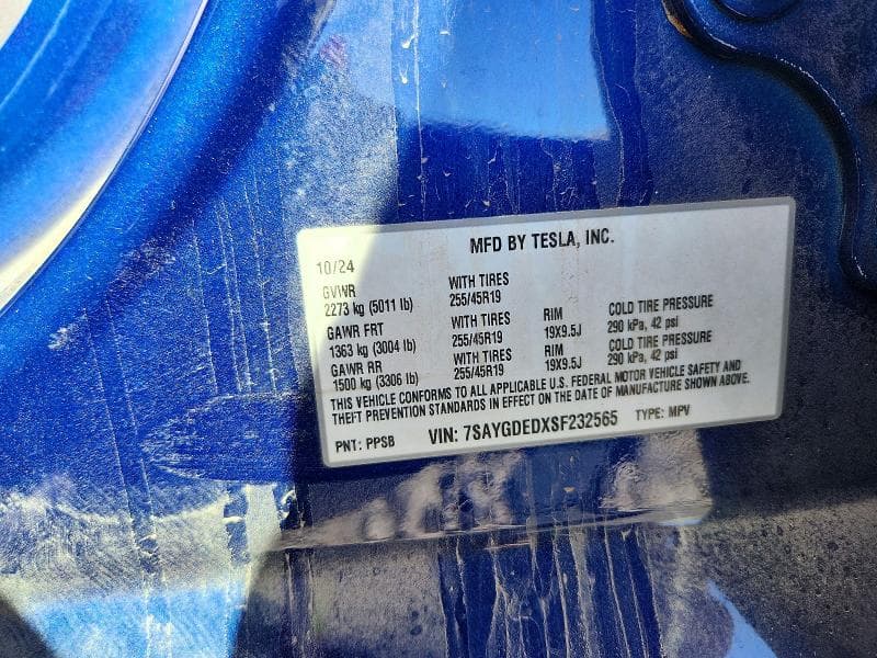2025 TESLA MODEL Y 13