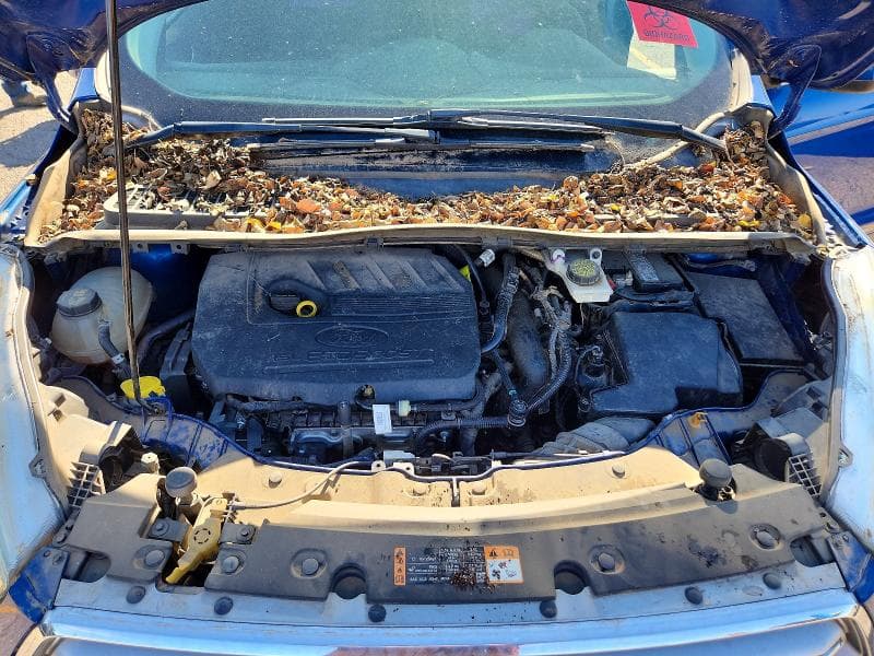 2017 FORD ESCAPE SE 12