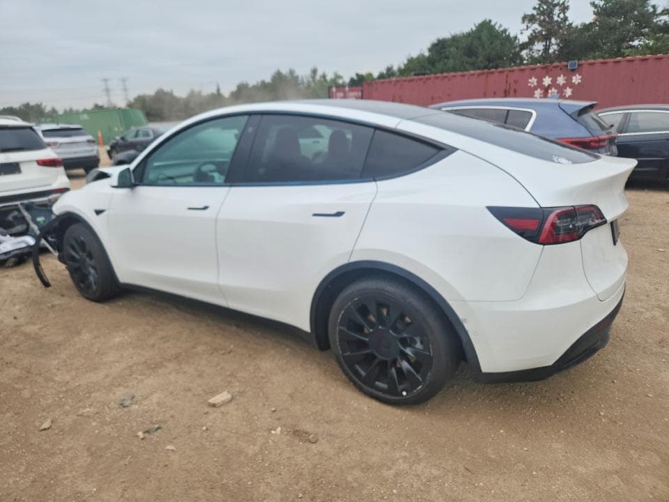 2021 TESLA MODEL Y 2