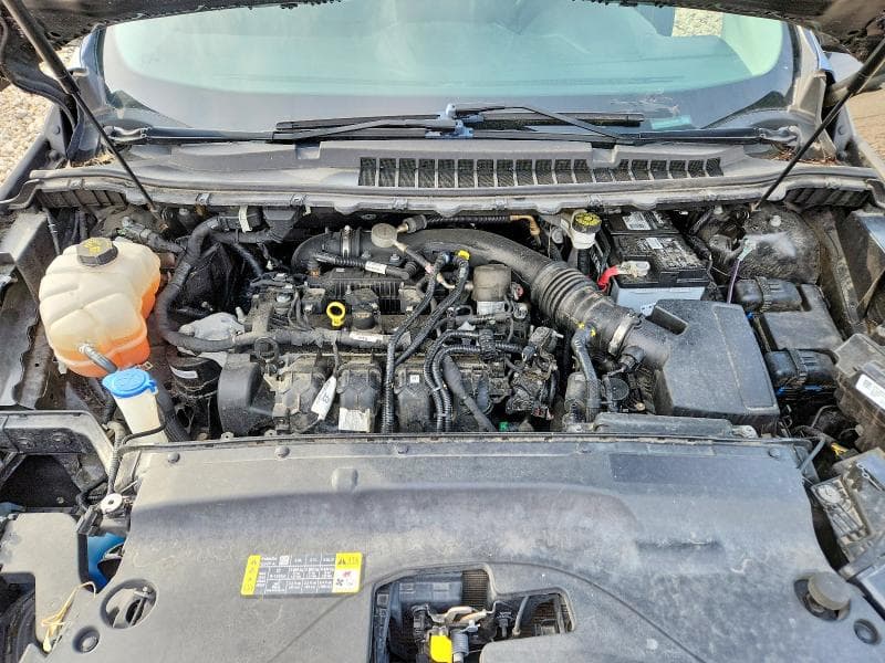 2019 FORD EDGE TITANIUM 12