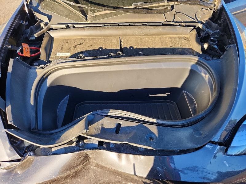 2025 TESLA MODEL Y 12