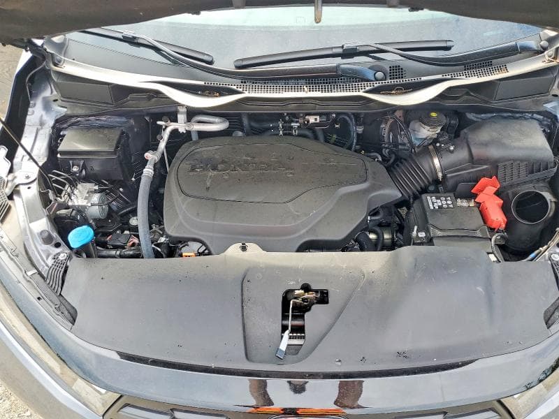 2025 HONDA ODYSSEY EXL 12