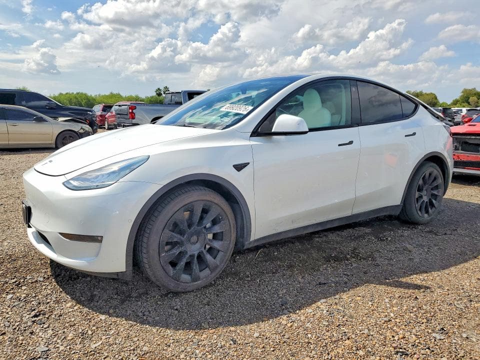 2021 TESLA MODEL Y - 1
