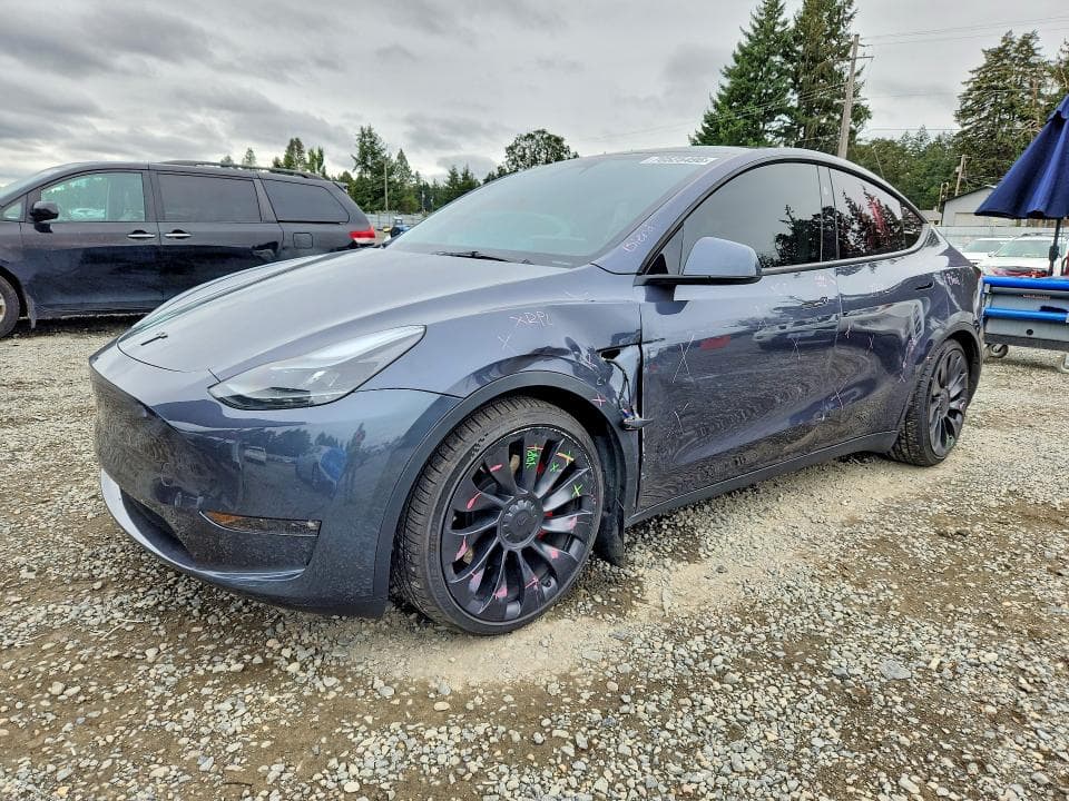 2023 TESLA MODEL  Y - 1