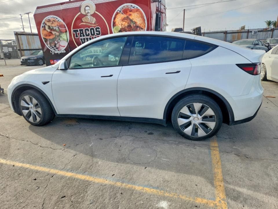 2024 TESLA MODEL Y 2