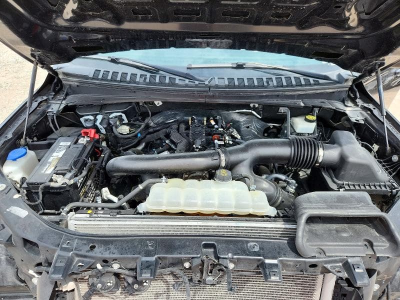 2024 FORD EXPEDITION MAX XLT 12