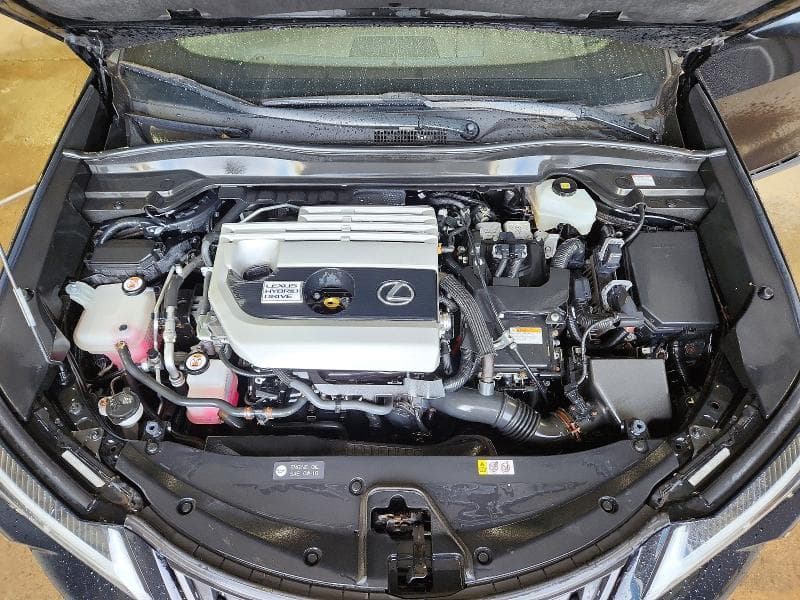2019 LEXUS UX 250H 12