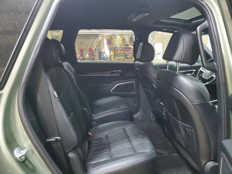 2025 KIA TELLURIDE EX X-LINE 11