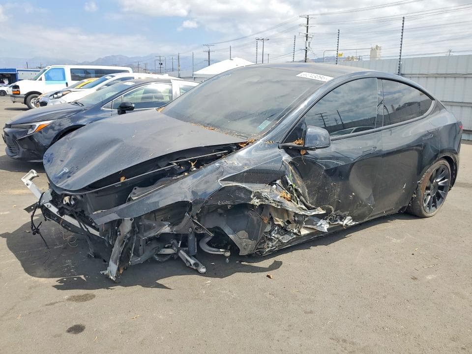2025 TESLA MODEL Y
