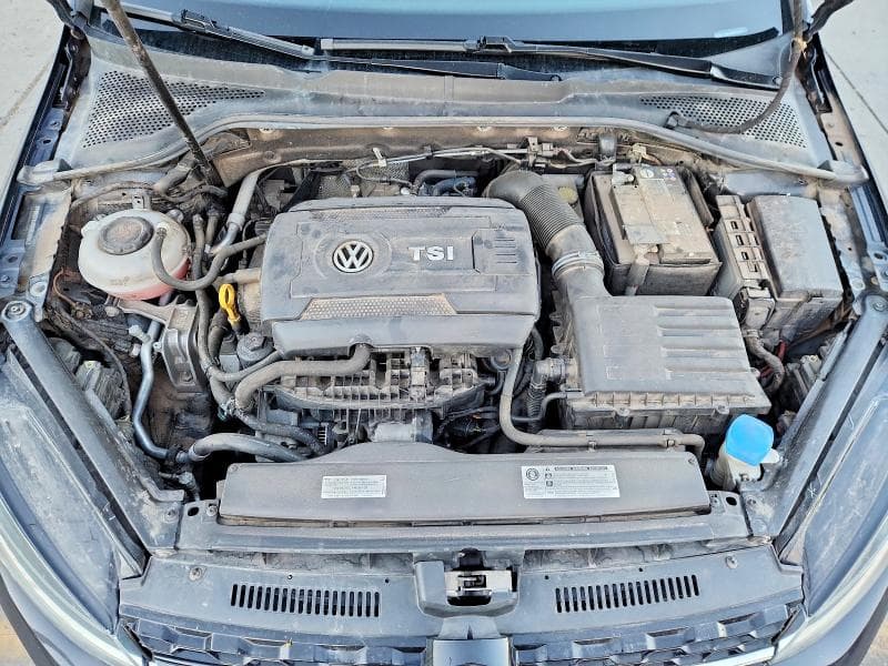 2019 VOLKSWAGEN GOLF ALLTRACK S 11