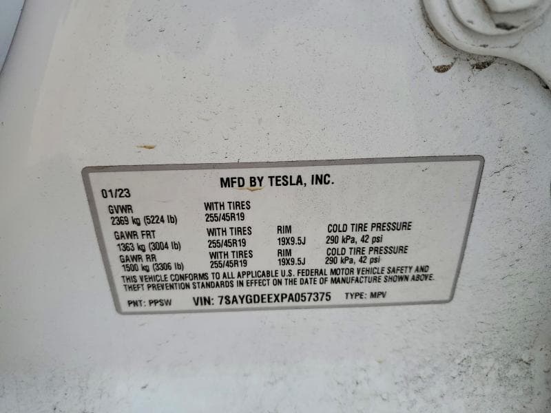 2023 TESLA MODEL Y 12
