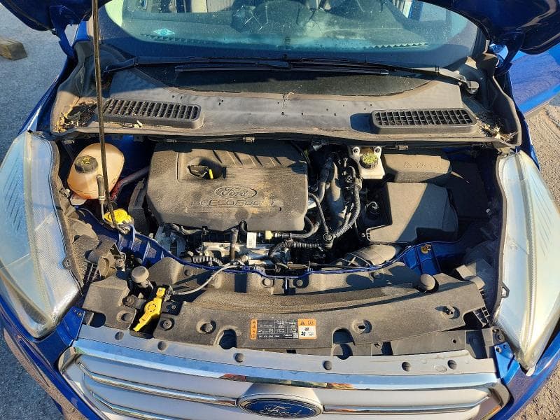 2017 FORD ESCAPE SE 12