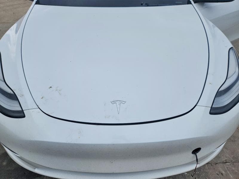 2023 TESLA MODEL Y 11