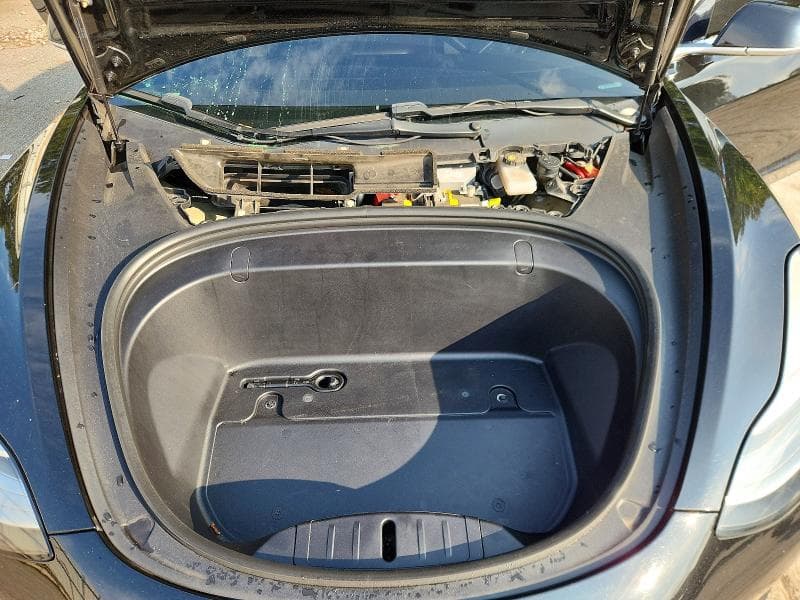 2019 TESLA MODEL 3 11