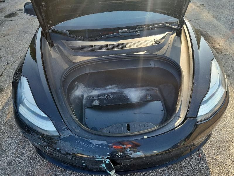 2019 TESLA MODEL 3 11