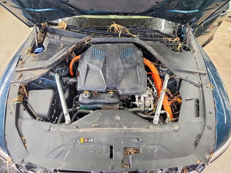 2023 GENESIS ELECTRIFIED G80 BASE 11