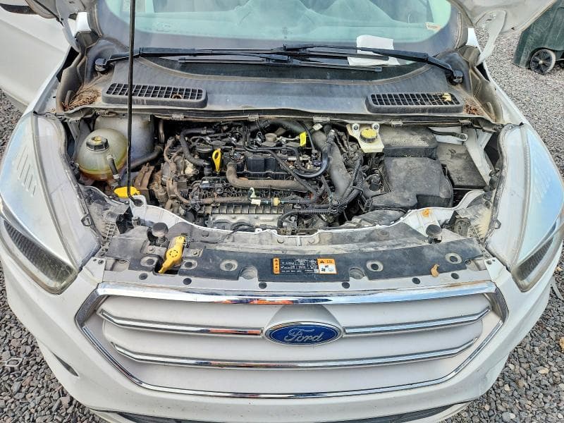 2019 FORD ESCAPE SE 12
