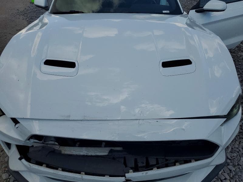 2019 FORD MUSTANG 11