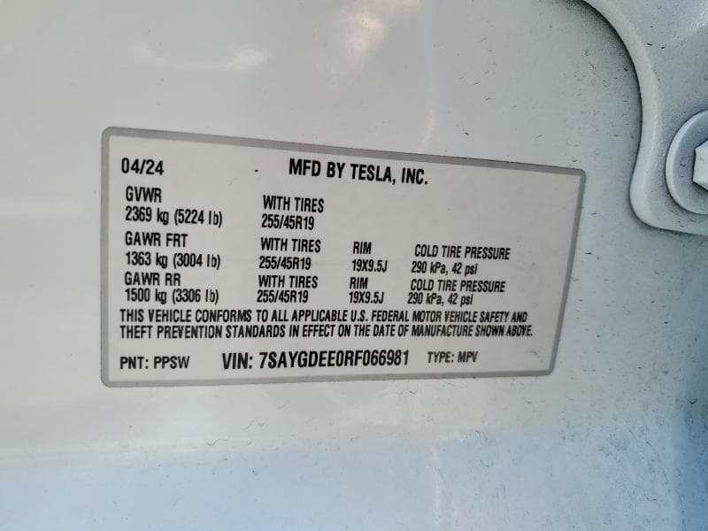 2024 TESLA MODEL Y 12
