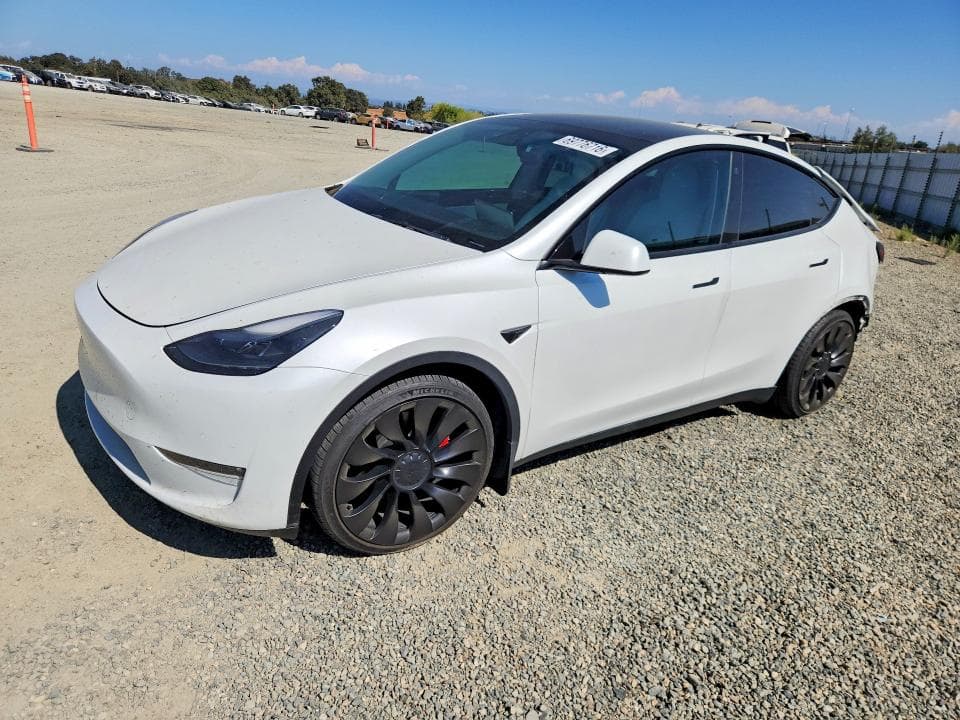 2022 TESLA MODEL Y - 1