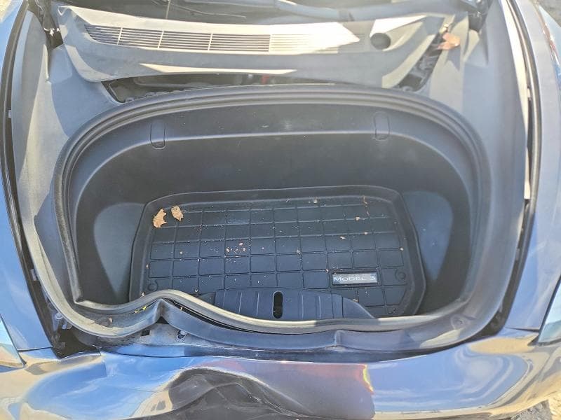 2019 TESLA MODEL 3 11