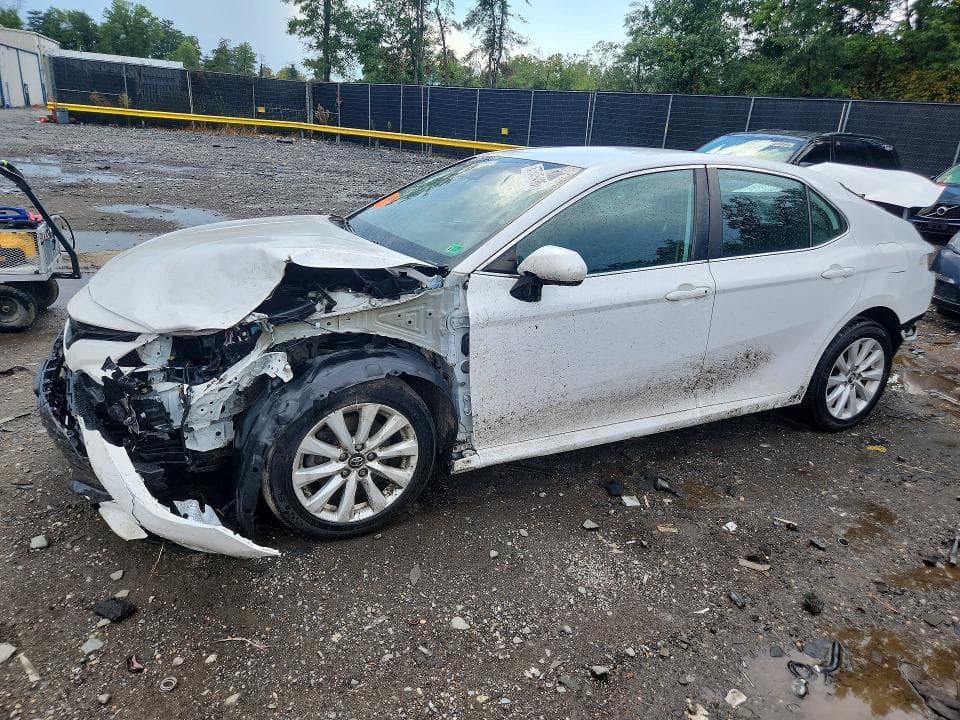 2019 TOYOTA CAMRY LE - 1