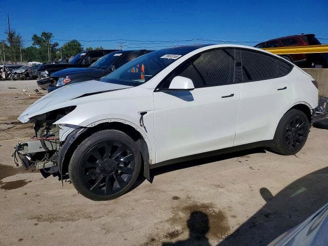 2023 TESLA MODEL Y - 1