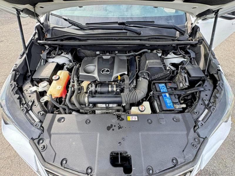 2020 LEXUS NX 300 F SPORT 7