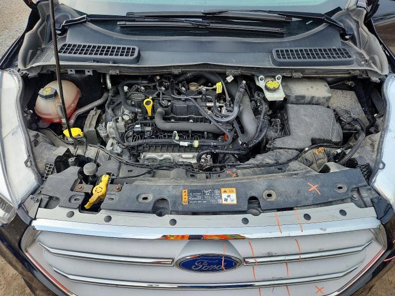 2019 FORD ESCAPE SE 12