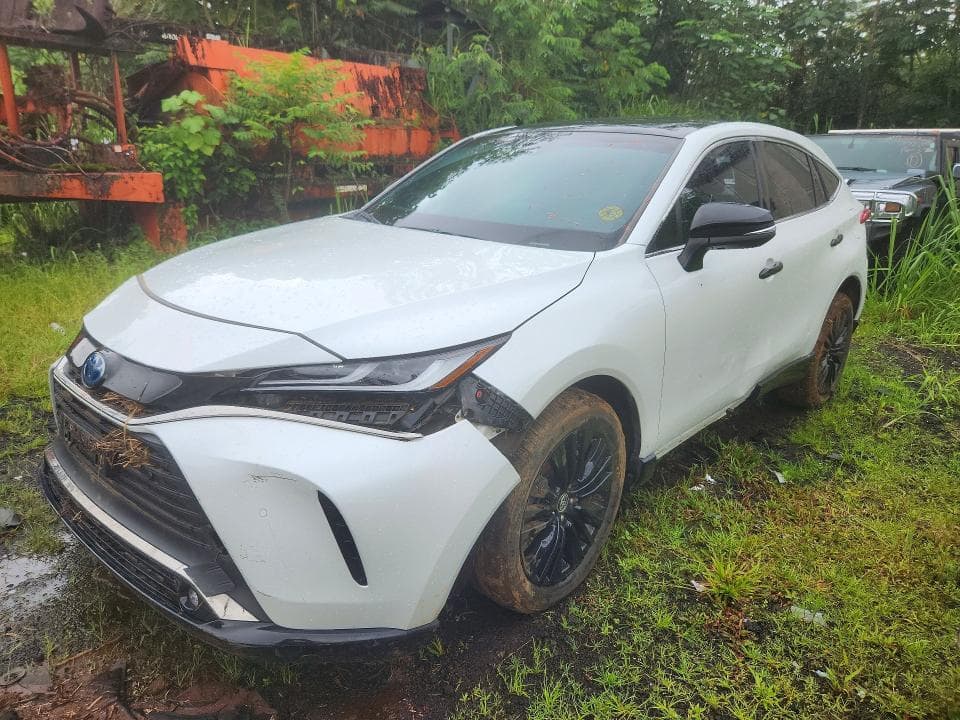 2024 TOYOTA VENZA LE
