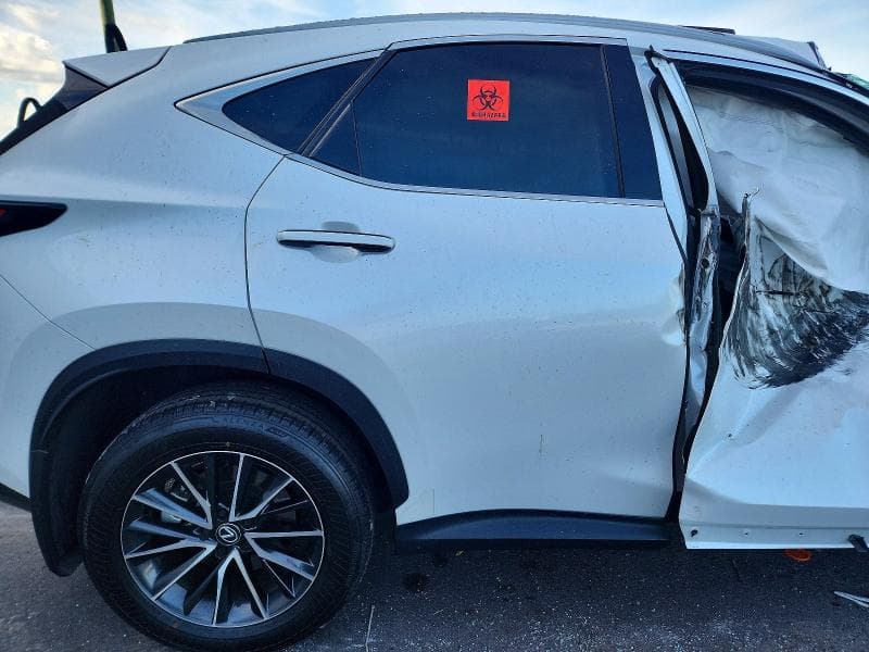 2024 LEXUS NX 250 PREMIUM 11